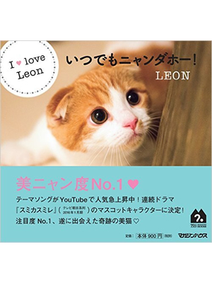 いつでもニャンダホー! 