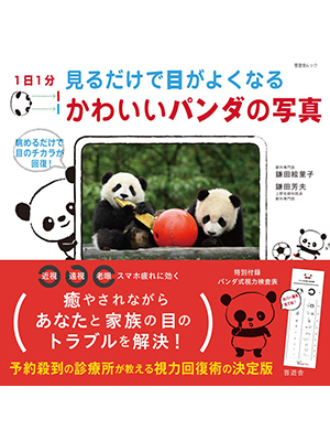 1日1分見るだけで目がよくなるかわいいパンダの写真